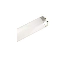 Imagem WW-31QA-5.